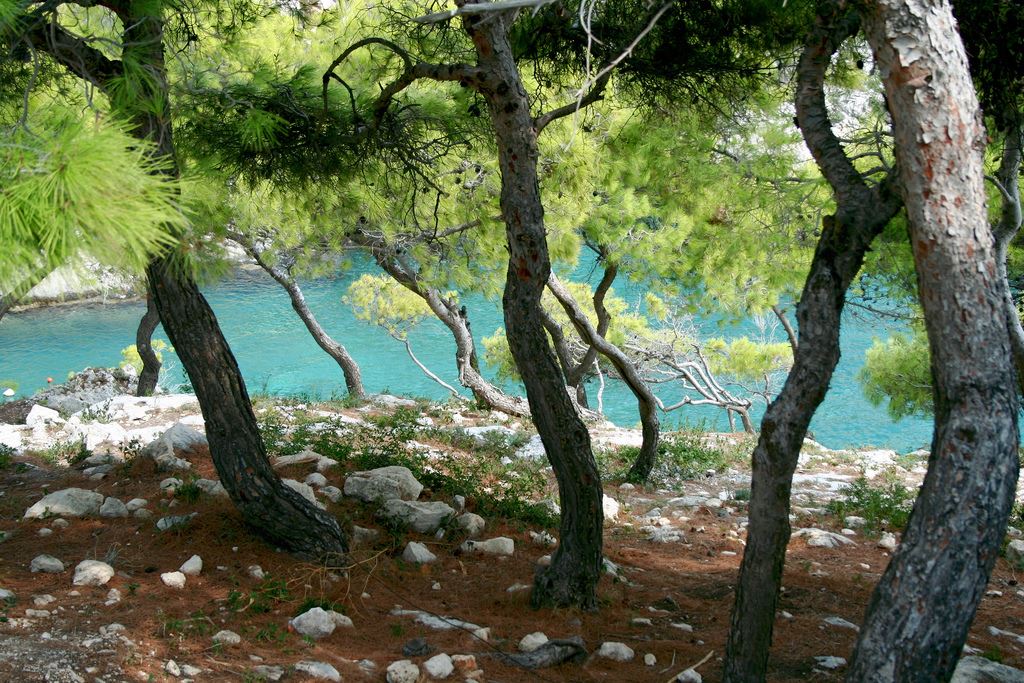  Porto Limnionas Zakintos 